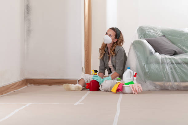 Reliable Black Mold Removal contractor in Nokomis, IL by WQB Mold Removal